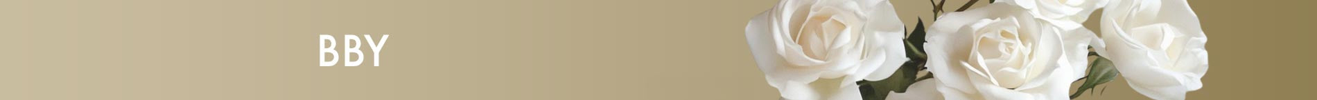 Be Bold, Beautiful and You