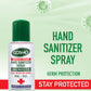 Advanced Instant Hand Sanitizer Spray 150ML - 10PC
